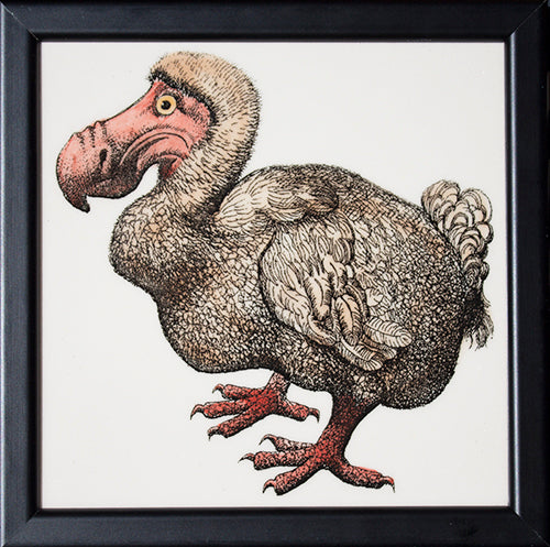 Dodo Framed Tile